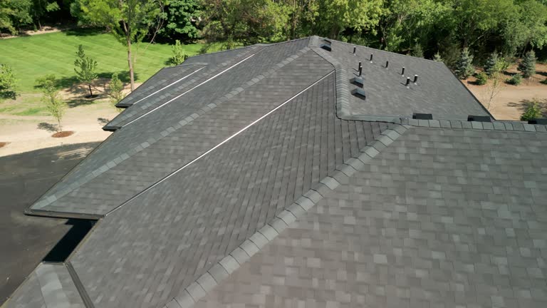 Best Steel Roofing  in Frisco City, AL
