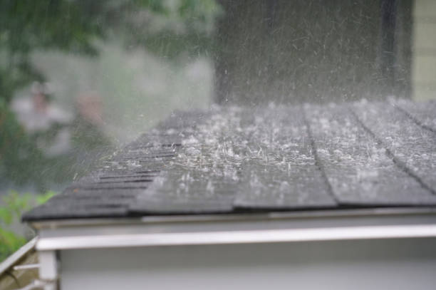 Best Emergency Roof Repair Services  in Frisco City, AL