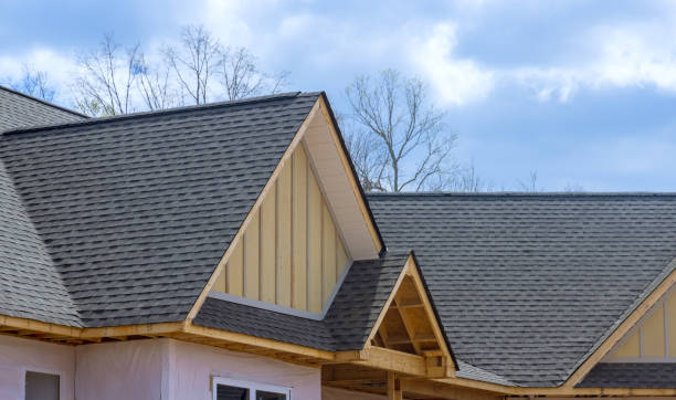 Best Asphalt Shingles Roofing  in Frisco City, AL