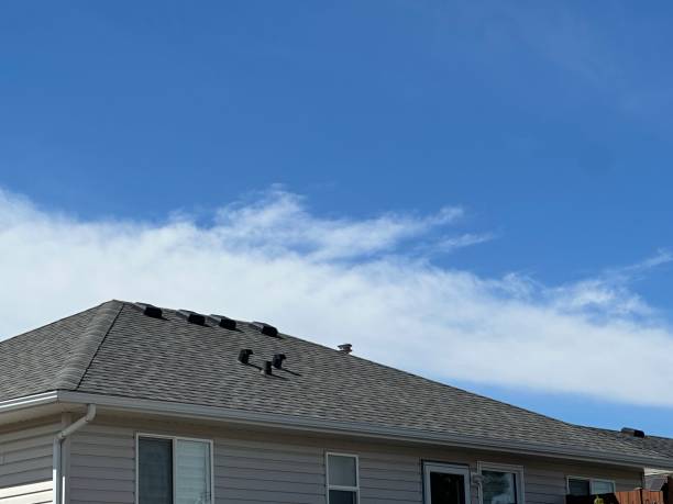 Best Wood Shake Roofing  in Frisco City, AL