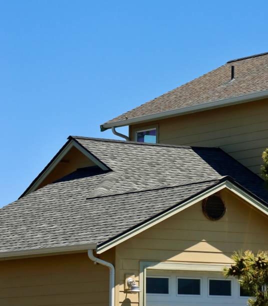 Best Gutter Installation and Repair  in Frisco City, AL